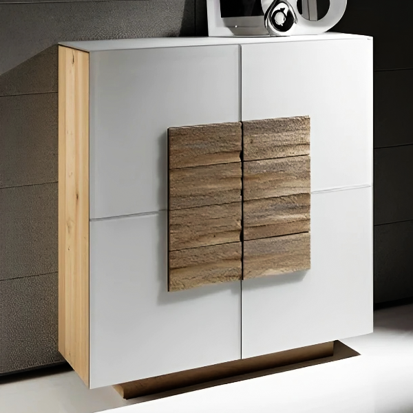 Modern design shoe cabinet