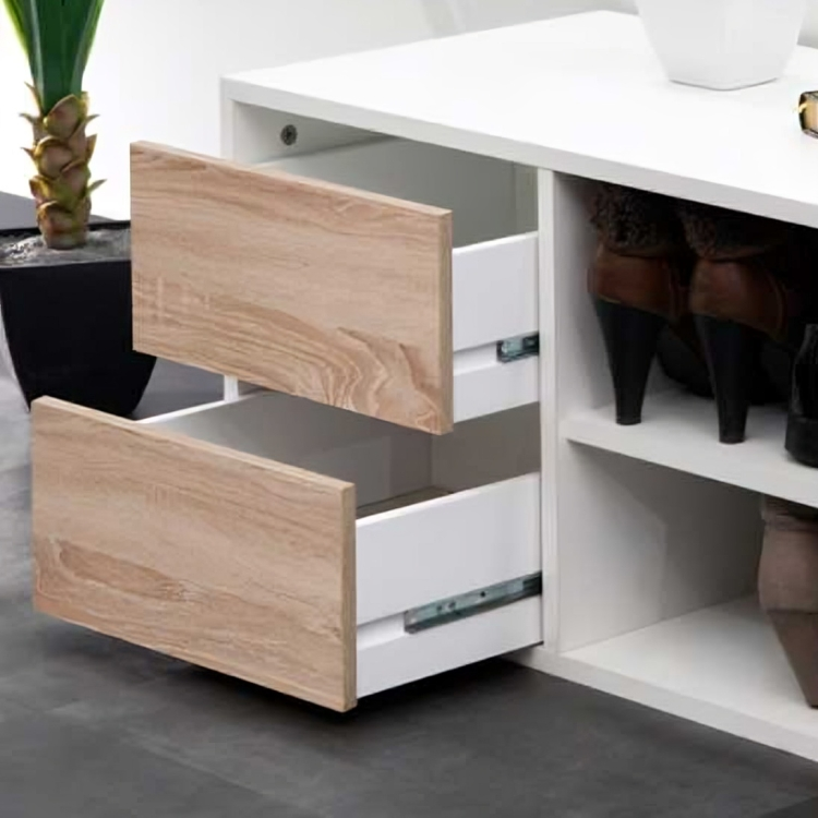 Modern design shoe cabinet