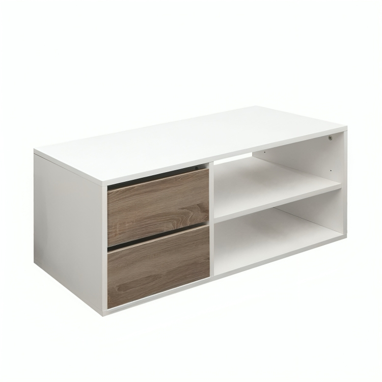 Modern design shoe cabinet