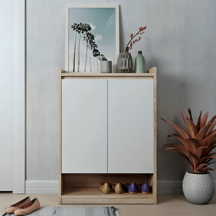 Simple design shoe cabinet