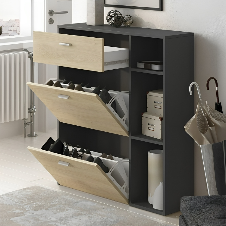 Multipurpose shoe cabinet