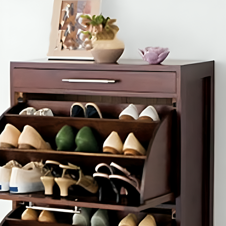 Stylish shoe cabinet